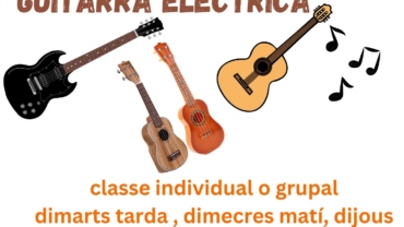 classes instruments corda pulsada per totes les edats